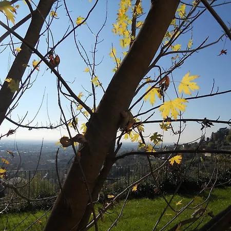 Sant'erasmo 2*